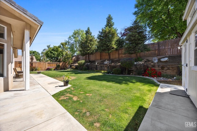 view of yard featuring a fenced backyard and a patio area
