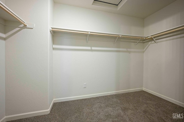 walk in closet featuring dark colored carpet