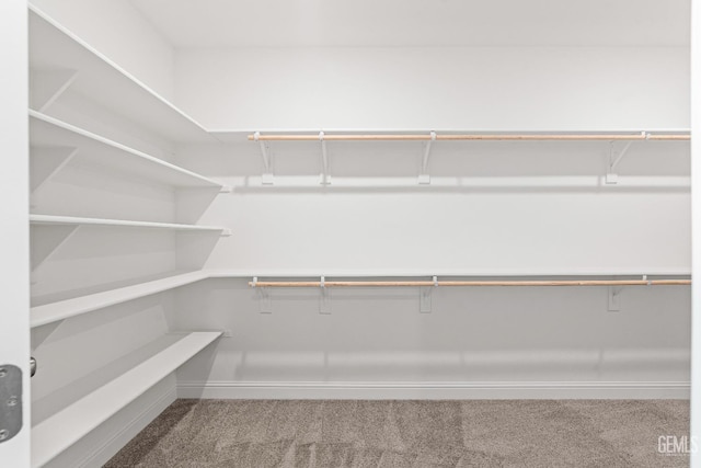 6501 Thunder Trail Dr, Bakersfield, CA 93313 - spacious closet with carpet flooring
