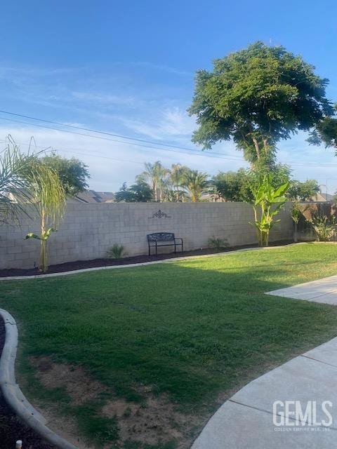 11422 Pacific Harbor Ave, Bakersfield, CA 93312 - view of yard