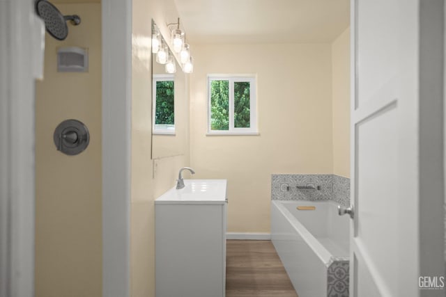 bathroom featuring a washtub, vanity, and hardwood / wood-style flooring