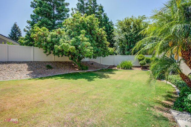 5903 Gold Ranch Way, Bakersfield, CA 93306 - view of fenced backyard