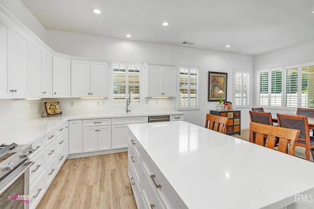 5903 Gold Ranch Way, Bakersfield, CA 93306 - kitchen with stainless steel appliances, healthy amount of natural light, light wood-type flooring, recessed lighting, and light countertops