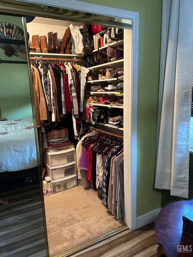 9125 Gleeson Ct, Bakersfield, CA 93311 - view of closet