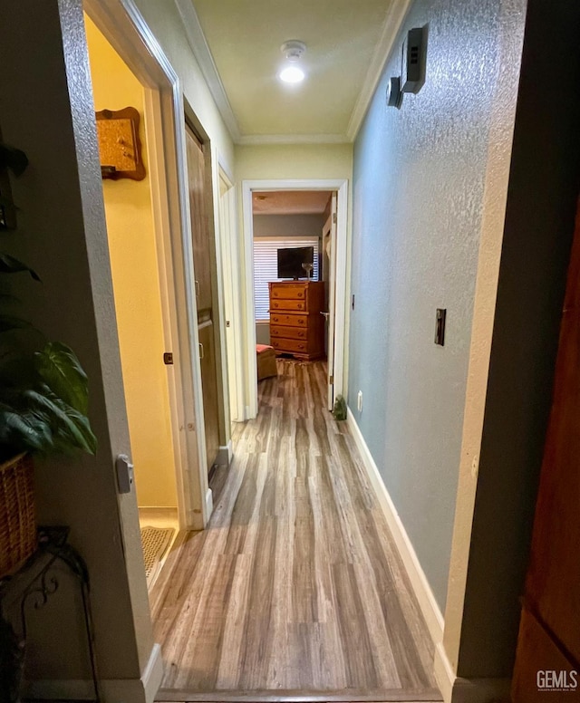9125 Gleeson Ct, Bakersfield, CA 93311 - hallway featuring wood finished floors, crown molding, baseboards, and a textured wall