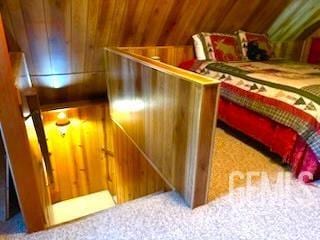 interior space with wood walls