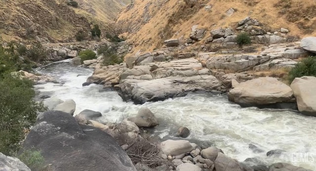 view of local wilderness