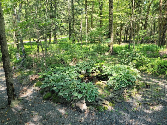 2048 Beaver Run Rd, Pocono Lake, PA 18347 - photo 22