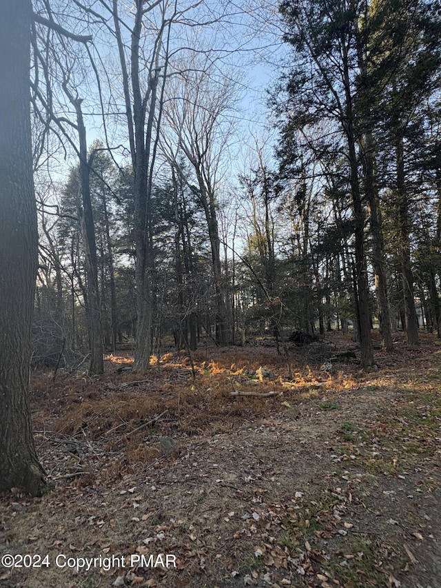 1 Cobblewood Rd, Newfoundland, PA 18445