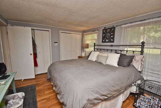 bedroom featuring crown molding, wood finished floors, two closets, and a textured ceiling