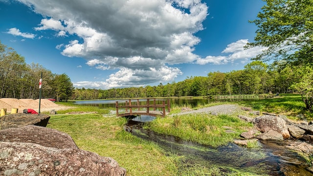 119 N Shore Dr, Albrightsville, PA 18210 - view of yard featuring a water view and a wooded view