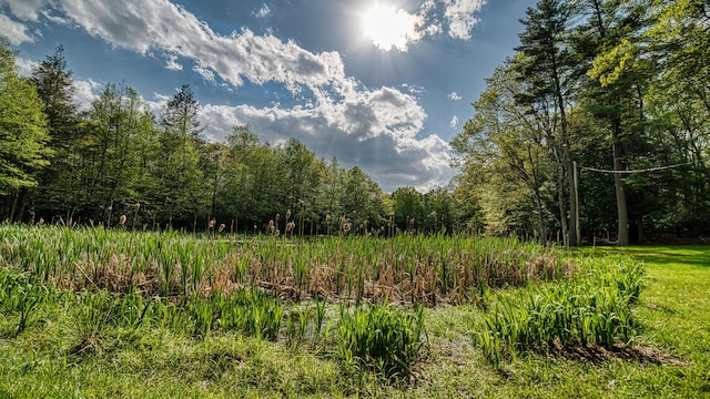 119 N Shore Dr, Albrightsville, PA 18210 - view of wooded area