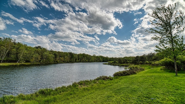 119 N Shore Dr, Albrightsville, PA 18210 - water view featuring a heavily wooded area