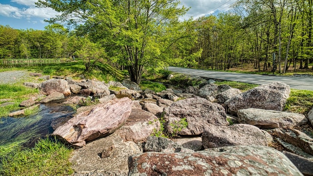 119 N Shore Dr, Albrightsville, PA 18210 - exterior view of a forest view