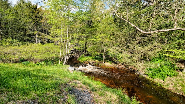 119 N Shore Dr, Albrightsville, PA 18210 - view of undeveloped land