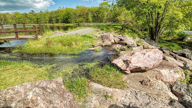119 N Shore Dr, Albrightsville, PA 18210 - view of yard featuring a wooded view and a water view