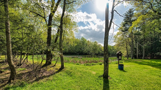 119 N Shore Dr, Albrightsville, PA 18210 - view of community with a lawn