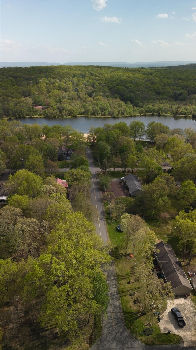 119 N Shore Dr, Albrightsville, PA 18210 - aerial overview of property's location with a nearby body of water and a heavily wooded area