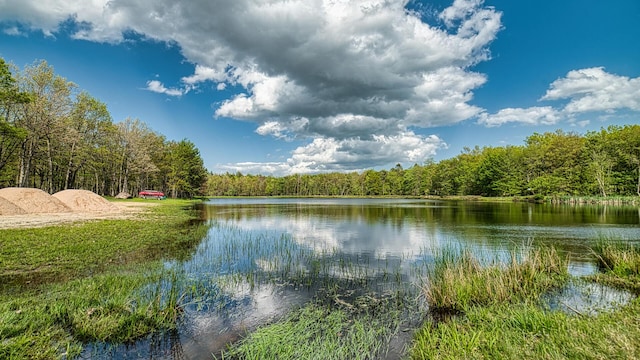 119 N Shore Dr, Albrightsville, PA 18210 - water view featuring a heavily wooded area