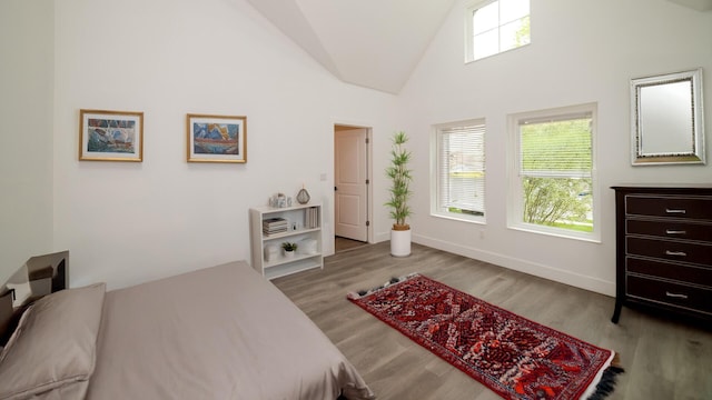 119 N Shore Dr, Albrightsville, PA 18210 - bedroom featuring wood finished floors, baseboards, and high vaulted ceiling