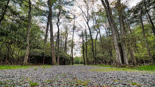 119 N Shore Dr, Albrightsville, PA 18210 - view of tree filled area