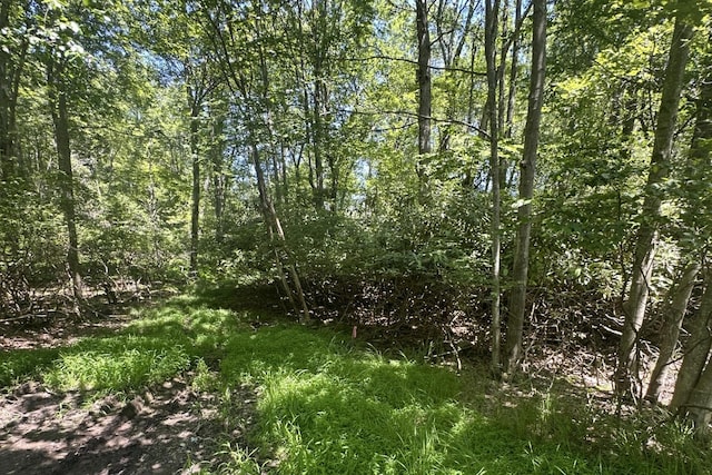 LOT2 Tamarack Ter, Pocono Summit, PA 18346 - photo 1