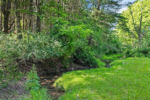 122 Meadow Pass, Saylorsburg, PA 18353 - photo 26