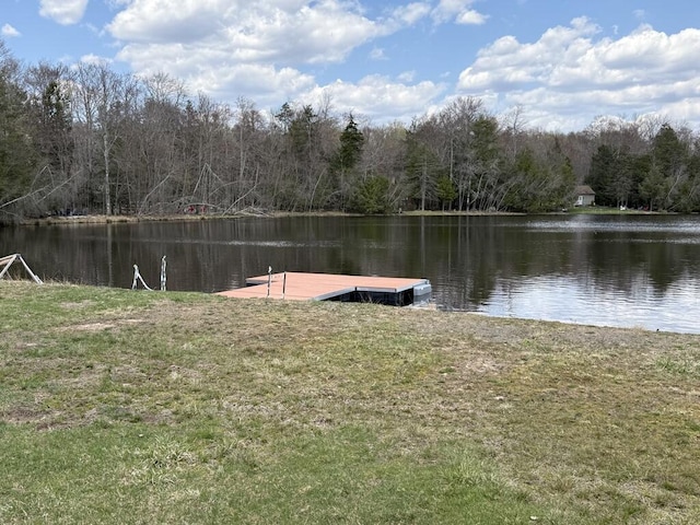111 Sir Lyonnesse Ct, Pocono Lake, PA 18347 - photo 39