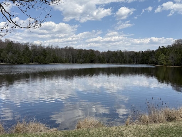 111 Sir Lyonnesse Ct, Pocono Lake, PA 18347 - photo 44