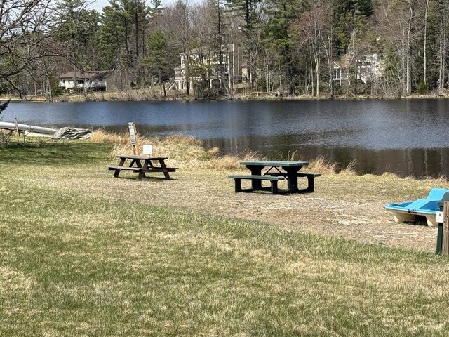 111 Sir Lyonnesse Ct, Pocono Lake, PA 18347 - photo 46
