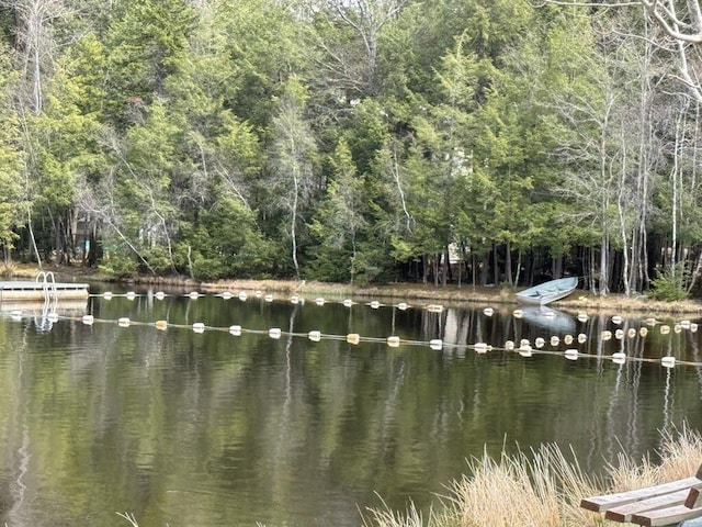 111 Sir Lyonnesse Ct, Pocono Lake, PA 18347 - photo 41