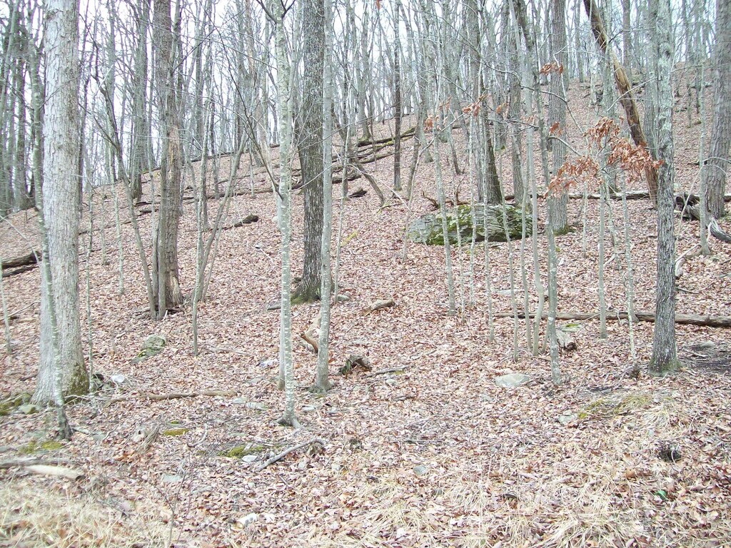 2.65ACRES Decker Rd, Bushkill, PA 18324