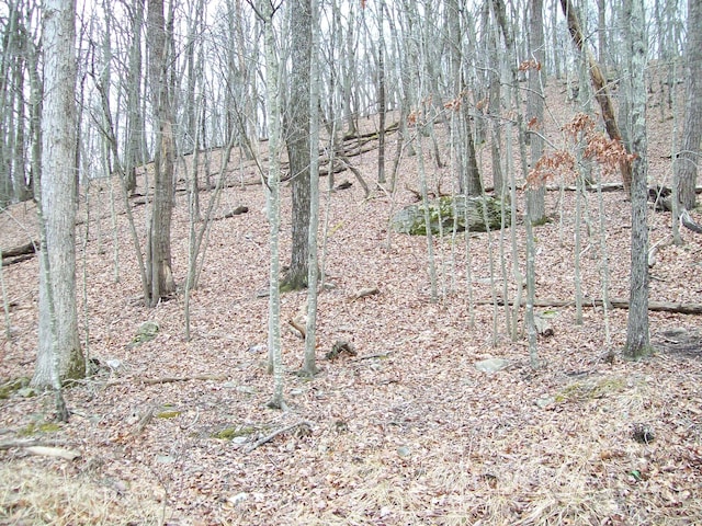 2.65ACRES Decker Rd, Bushkill, PA 18324