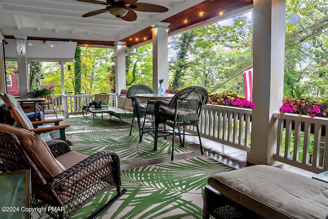 exterior space with a ceiling fan and a wealth of natural light