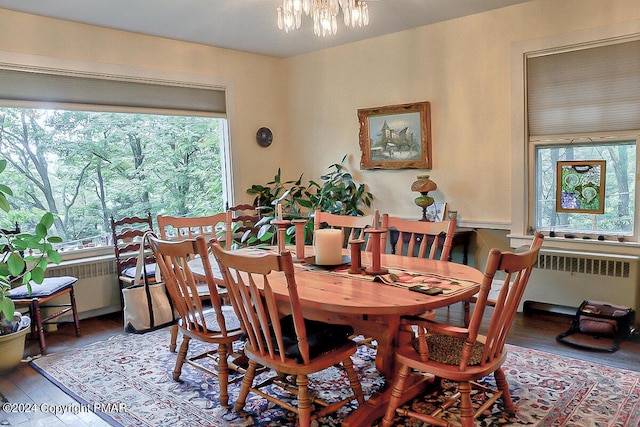 dining area featuring a chandelier, a wealth of natural light, radiator, and wood finished floors