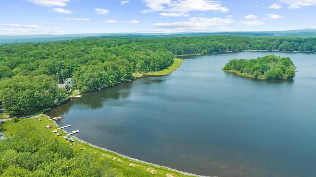 130 Tommys Ln, Pocono Lake, PA 18347 - photo 23