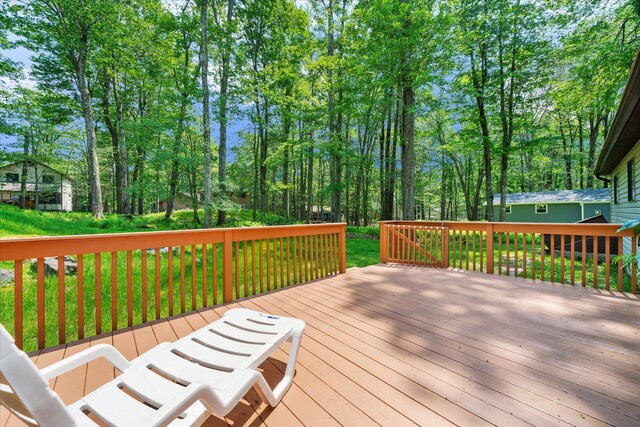 130 Tommys Ln, Pocono Lake, PA 18347 - photo 14