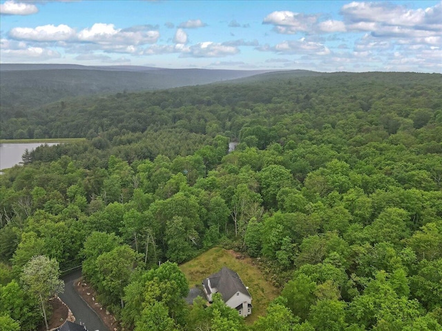 79 Delaware Dr, Jim Thorpe, PA 18229 - aerial view of a heavily wooded area and a water and mountain view