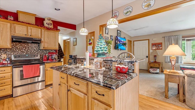 600 N Harrity Rd, Palmerton, PA 18071 - kitchen featuring stainless steel range with electric stovetop, under cabinet range hood, light wood-type flooring, decorative backsplash, and open floor plan