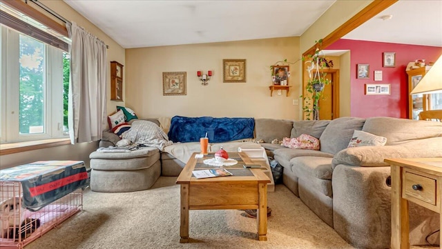 600 N Harrity Rd, Palmerton, PA 18071 - living area with plenty of natural light and carpet