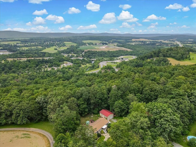 600 N Harrity Rd, Palmerton, PA 18071 - aerial view of a forest