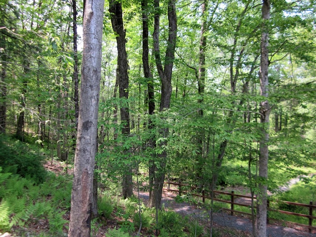2016 Locust Ridge Rd, Pocono Lake, PA 18347 - view of tree filled area