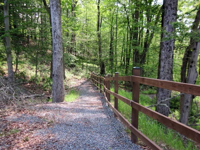 2016 Locust Ridge Rd, Pocono Lake, PA 18347 - view of street with a wooded view