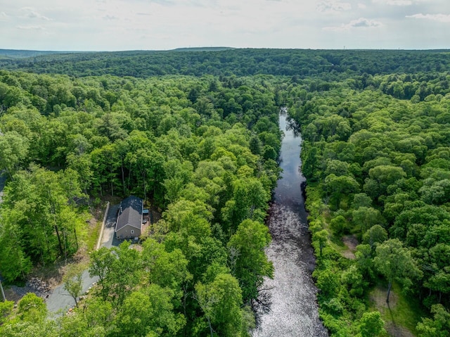 2016 Locust Ridge Rd, Pocono Lake, PA 18347 - bird's eye view of a heavily wooded area and a nearby body of water