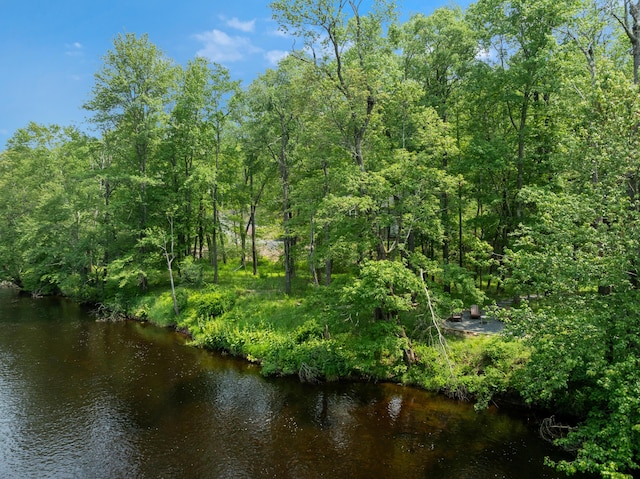 2016 Locust Ridge Rd, Pocono Lake, PA 18347 - water view