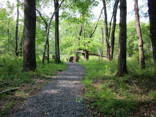 2016 Locust Ridge Rd, Pocono Lake, PA 18347 - view of road