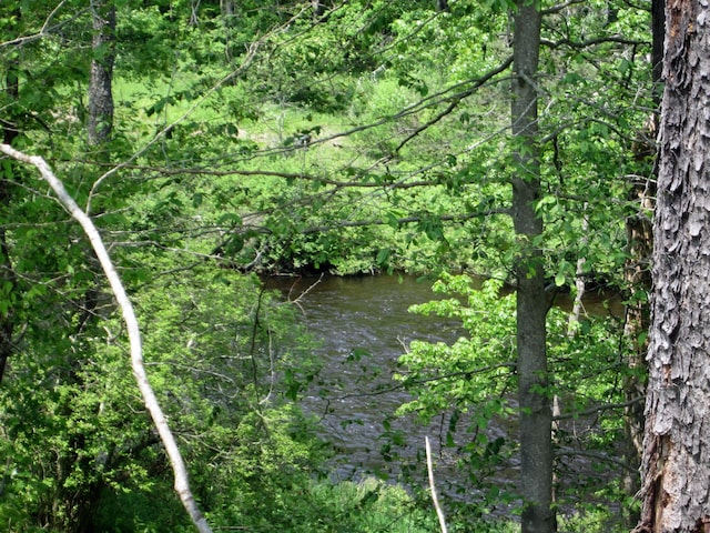 2016 Locust Ridge Rd, Pocono Lake, PA 18347 - view of tree filled area