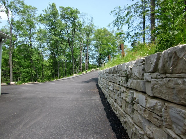 2016 Locust Ridge Rd, Pocono Lake, PA 18347 - view of asphalt road