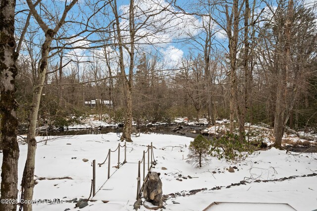 2222 Hillcrest Dr, Pocono Pines, PA 18350 - view of snow covered land