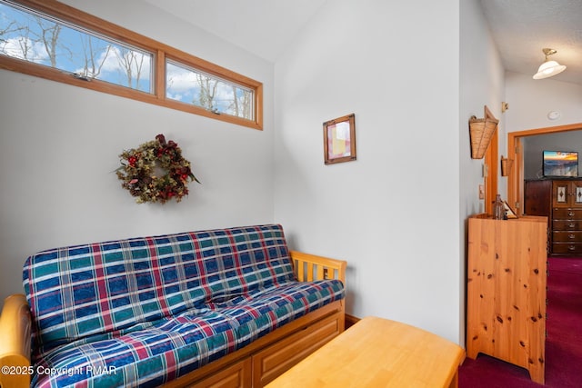 sitting room featuring lofted ceiling